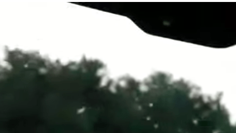 Un perrito no puede contener su emoción cuándo sabe adónde va.