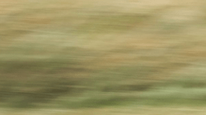 La conducción en autopistas puede ser un placer.