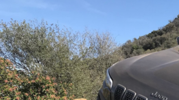 Opciones para todos los gustos.