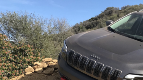 Opciones para todos los gustos.