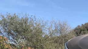 Opciones para todos los gustos.