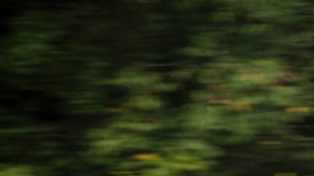 El Fusion dejará de mostrar su elegancia y poder en las calles.