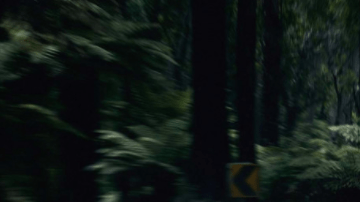 Diversión a bajo costo.