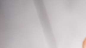 El Corgi de dos años, había desaparecido dos semanas anres de su casa.