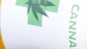 La marihuana sintética no tiene nada qué ver con la natural.