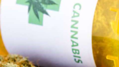 La marihuana sintética no tiene nada qué ver con la natural.