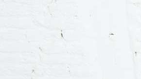 Juntos, pero alejados.