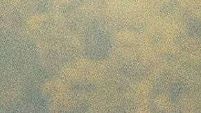 Escuchar lo que nuestro interior quiere decirnos, puede ayudarnos a descubrir nuestros verdaderos sueños.