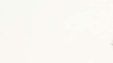 Hay muchos nombres hawaianos hermosos para niños y niñas.