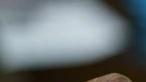 Las autoridades califican este hecho como un acto de desesperación.