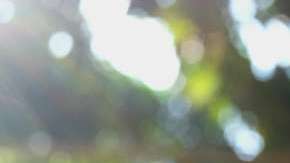 Si estás pensando en comprar una casa, este es el mejor momento.