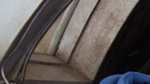 En "Solo: A Star Wars Story," Alden Erhrenreich comparte pantalla con  Emilia Clarke,  Donald Glover y Woody Harrelson, entre otros.