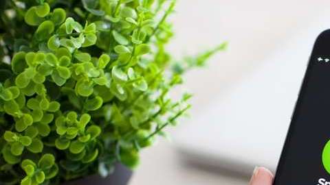 La plataforma cuenta con más de 170 millones de usuarios