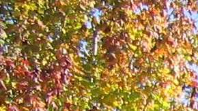 Cuidado con las tintas.