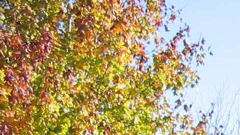 Cuidado con las tintas.