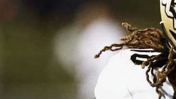 Shaquem Griffin se desempeña como linebacker, pese a no contar con una mano