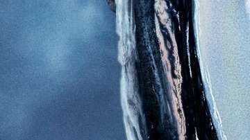 Tom Hardy es "Venom" en nueva película