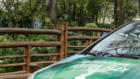 Este Prius está a prueba.