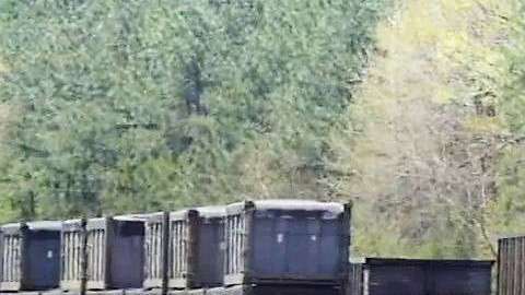 Los vagones llevan varias semanas abandonados.