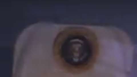 El presidente Trump bajando del Air Force One.