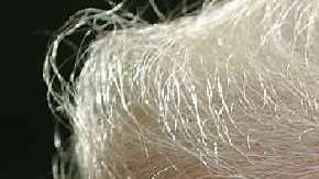 Los gobiernos de Trump y Enrique Peña Nieto enfrentados por migración y seguridad fronteriza.