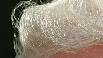 Los gobiernos de Trump y Enrique Peña Nieto enfrentados por migración y seguridad fronteriza.