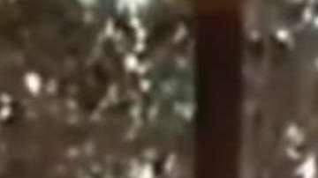 En YouTube hay varios videos sobre "El Chapo", incluido este donde, supuestamente, interroga a un enemigo.