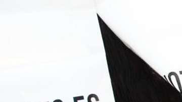 Activistas aseguran que su misión es observar, influir y vigilar en elecciones de julio.