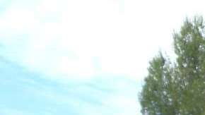 Los accidentes generalmente ocurren por descuidos.