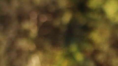 e recomienda tener especial cuidado al acostarse, al pararse, al sentarse y hacer otros movimientos.