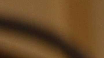 La senadora Dianne Feinstein aspira a su quinto mandato completo.