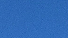 Este grupo de inconformes dice que estos vendedores ambulantes se están apoderando del Grant Park vendiendo ilegalmente sus productos.