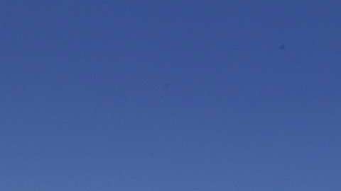 Denuncian abusos contra migrantes en el Centro de Detención de Otay Mesa.