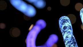 100951437_gettyimages-868888242