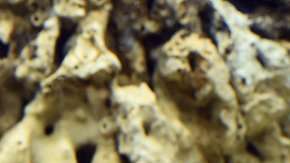 Cuidado con conectar un acuario a tu red informática.