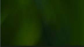 La última actualización ya está disponible para descargar manualmente.