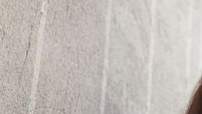 ¿Hay un límite de edad para aprender un idioma?