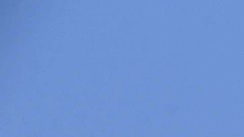 El Taj Mahal es una de las maravillas de la humanidad.