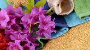 Aloha significa "hola" y "adiós", pero es mucho más que eso.