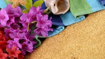 Aloha significa "hola" y "adiós", pero es mucho más que eso.