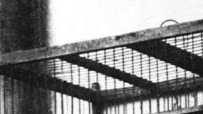 Una imagen del Zorzal Criollo en la década de 1930.