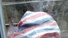 Muchos consideran a este animal una suerte de "fósil viviente".