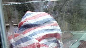 Muchos consideran a este animal una suerte de "fósil viviente".