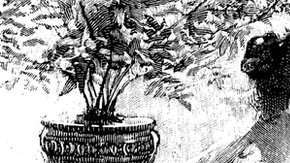 Los síntomas que provocaba la intoxicación por arsénico podían confundirse con los de otras enfermedades típicas de la época.