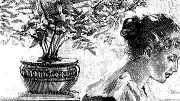 Los síntomas que provocaba la intoxicación por arsénico podían confundirse con los de otras enfermedades típicas de la época.