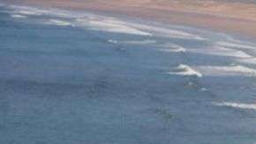 La criatura apareció en la playa de Rhossili, en la costa sur de Gales.