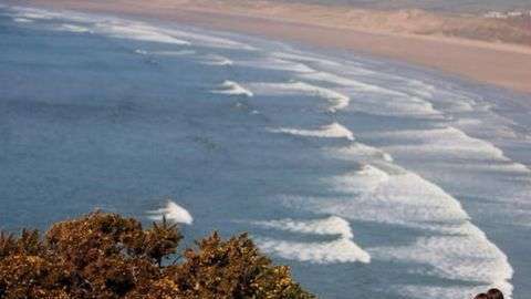 La criatura apareció en la playa de Rhossili, en la costa sur de Gales.