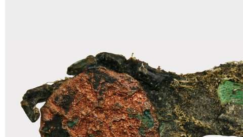 Los restos fueron encontrados en un poblado en el sur de Hungría.