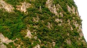 Maya Bay, la playa más famosa de Tailandia.