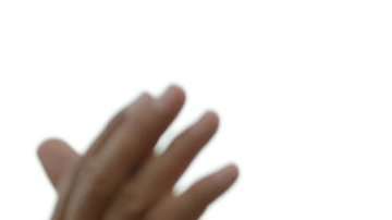 Andrés Manuel López Obrador es el candidato de la coalición izquierdista.